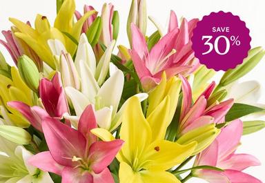 Header navigation sub menu